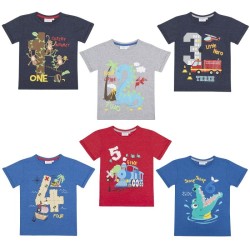 Блузи за момченца с цифра 1-6г. Mini Kidz