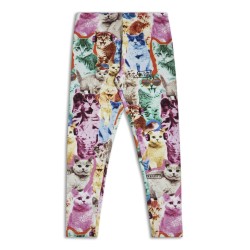 Клин Котета