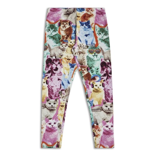 Клин Котета